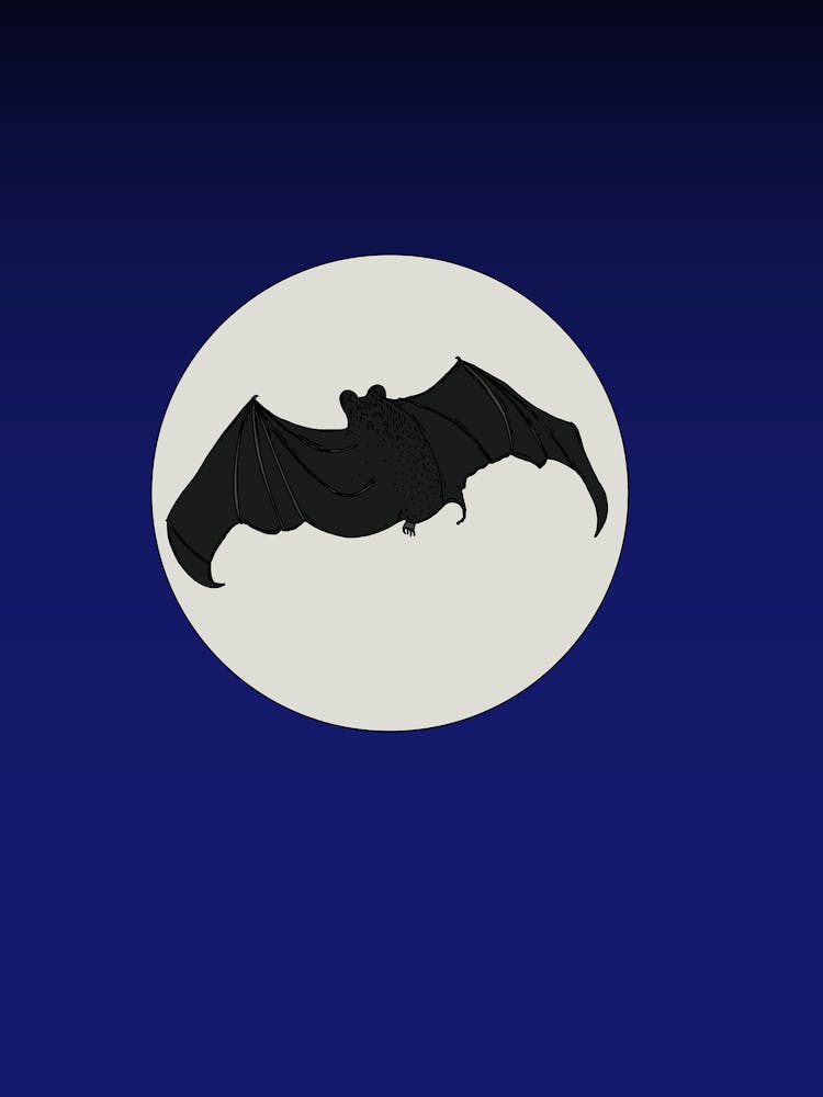 Bat And The Moon