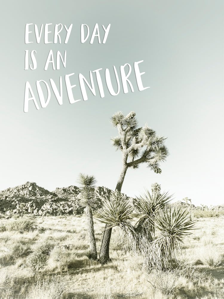 Every Day Is An Adventure