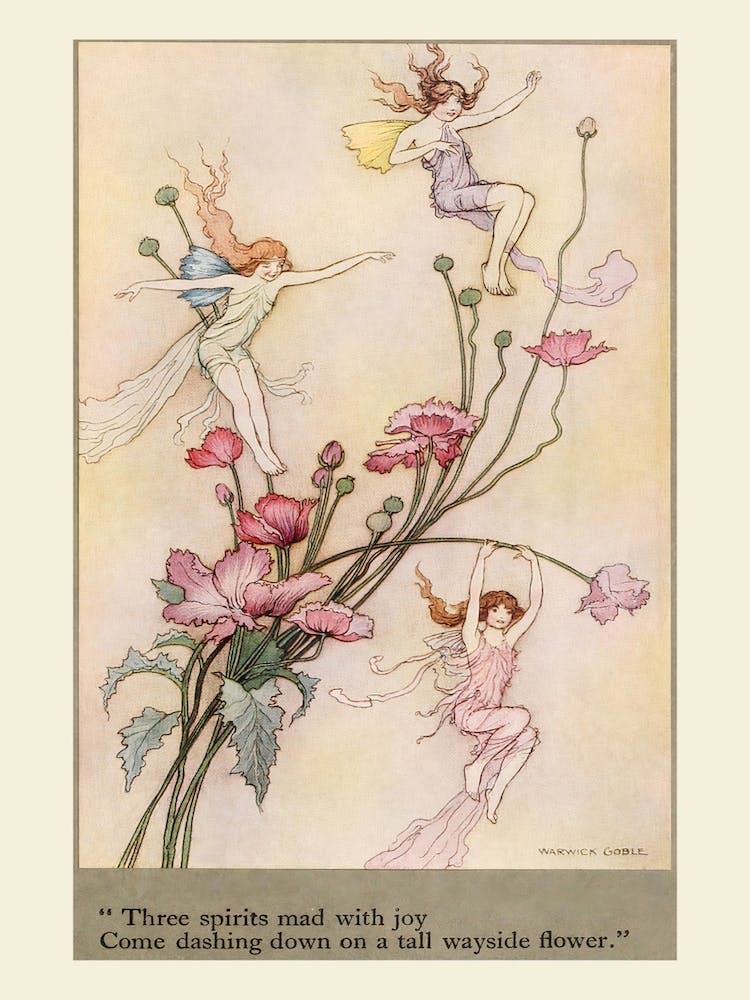 Three Spirits Mad With Joy, Warwick Goble