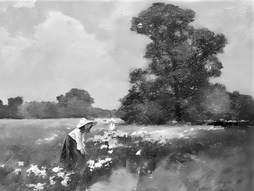 Woman In A Field