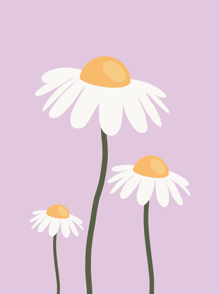 Retro Daisies Lavender