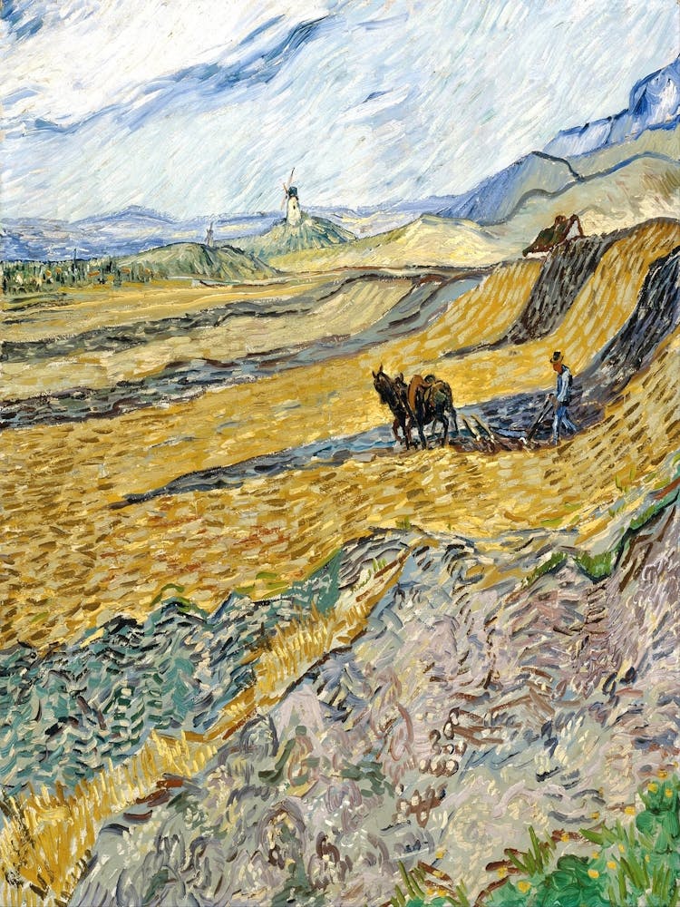 Wheat Field