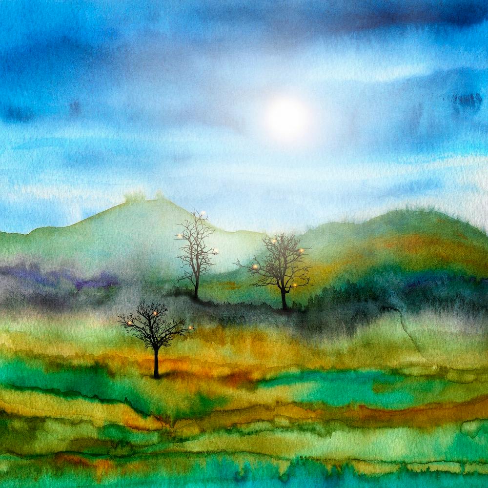 Christmas In The Woods