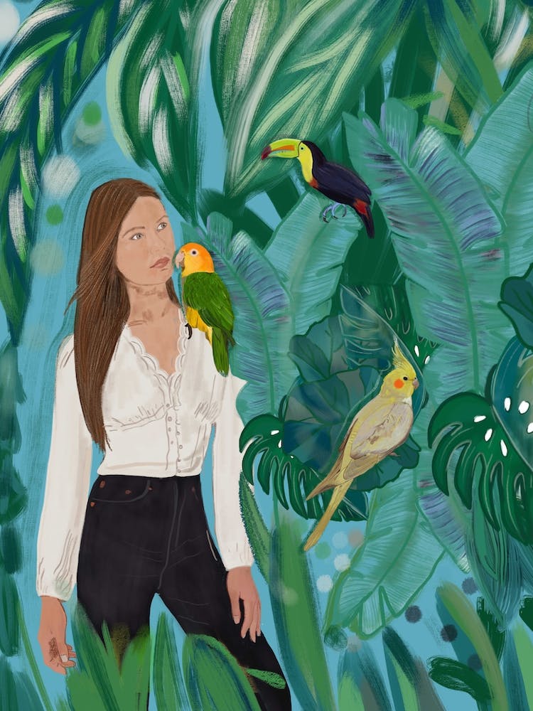 Birds Girl Forest