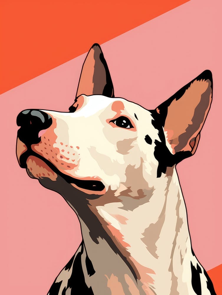 Bullterrier 4