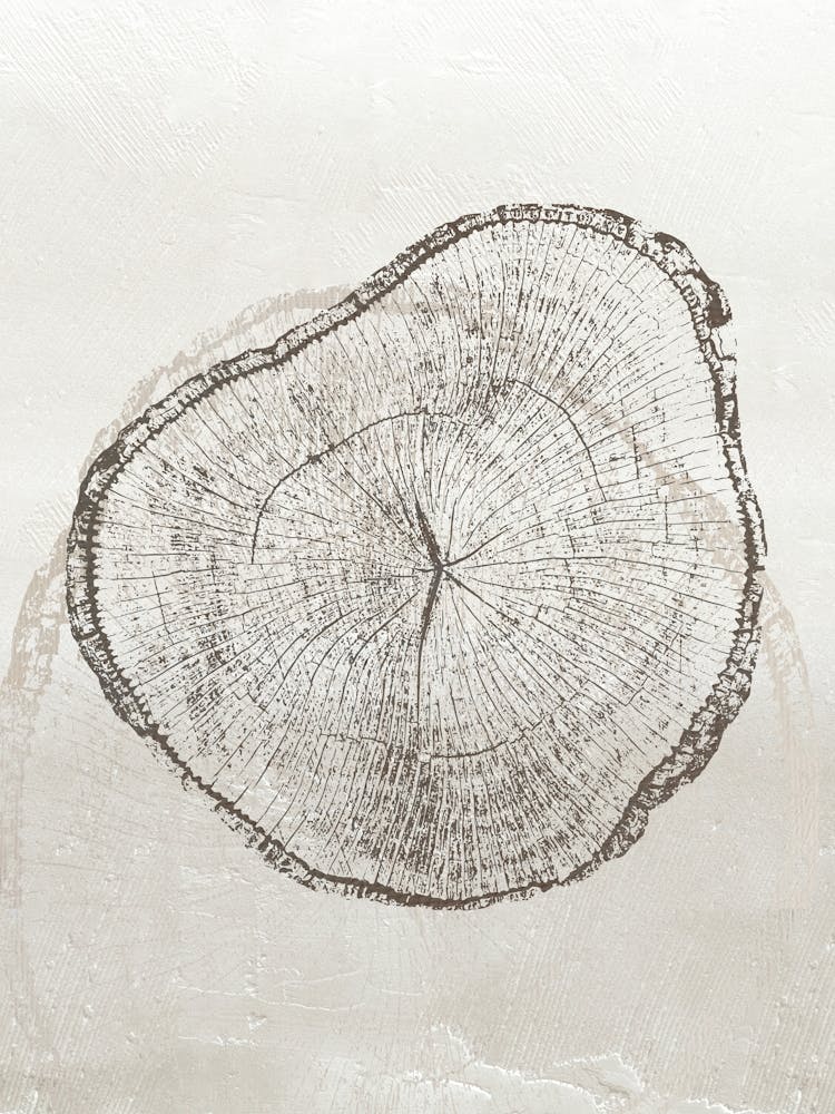 Neutral Tree Ring Stump 2