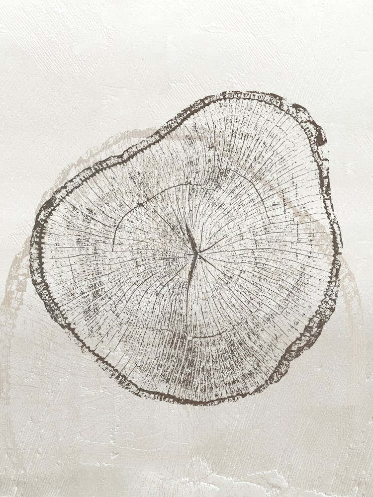 Neutral Tree Ring Stump 2