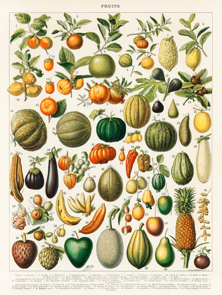 Fruits And Vegetables
