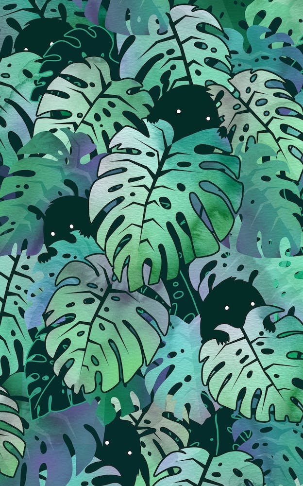 Monstera Monsters