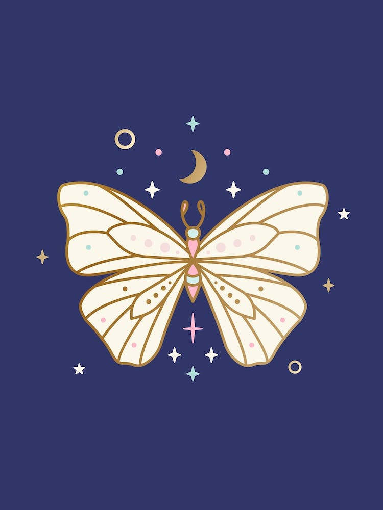 Schmetterling auf Dunkelblau