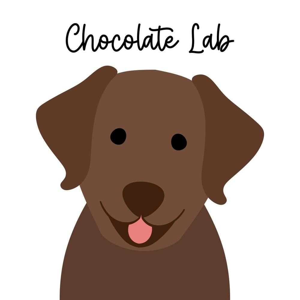 Schokoladen-Labrador