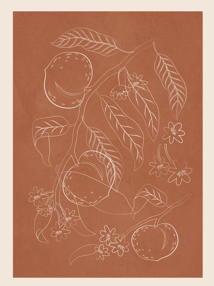 Peaches Line Art