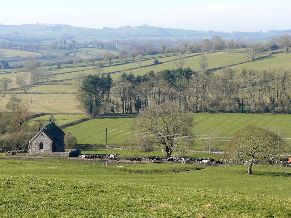 Wiltshire