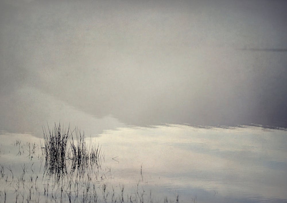 Quintessentially Quiet 1