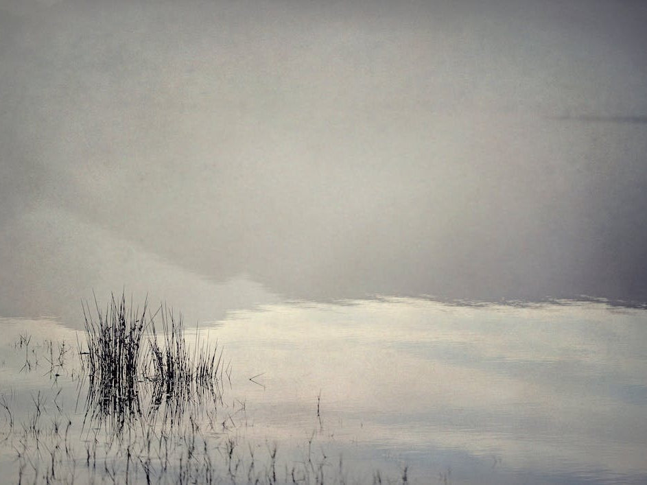 Quintessentially Quiet 1