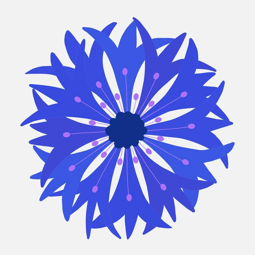 Cornflower
