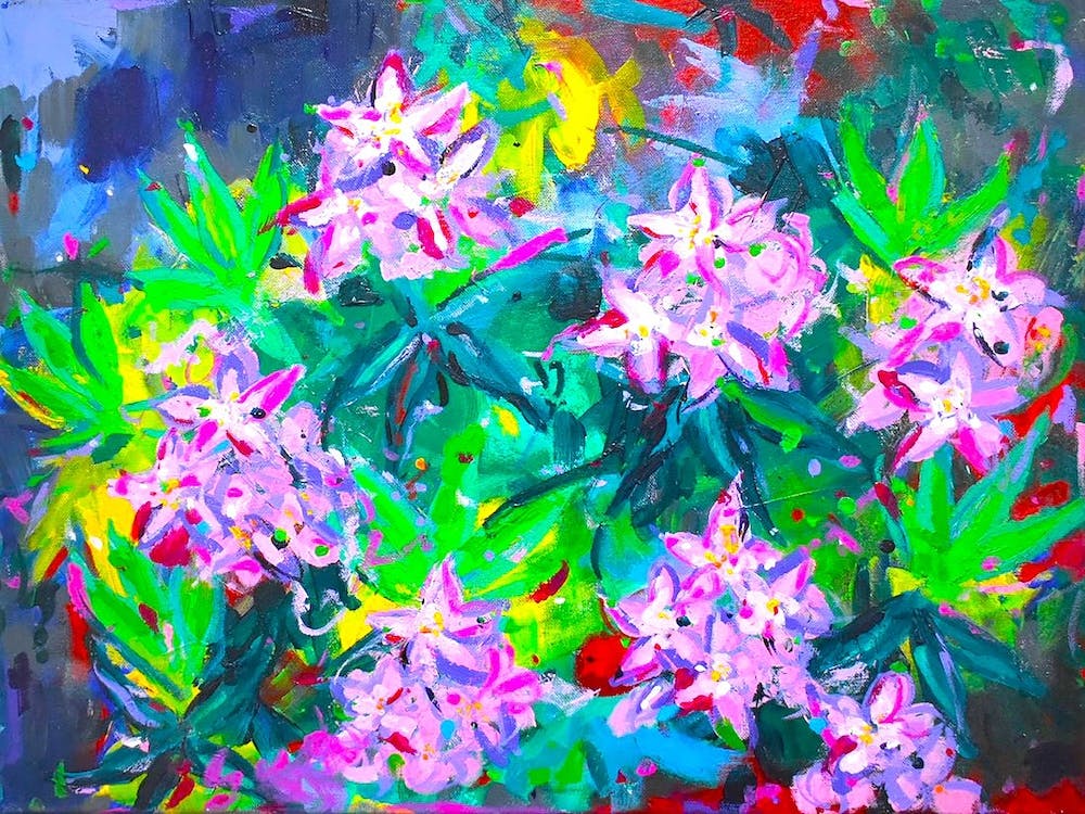 Rhododendrons