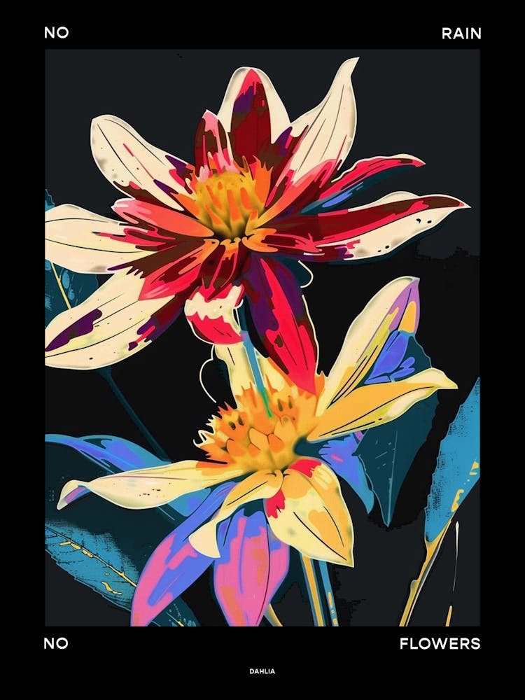 No Rain No Flowers Poster Dahlia 2