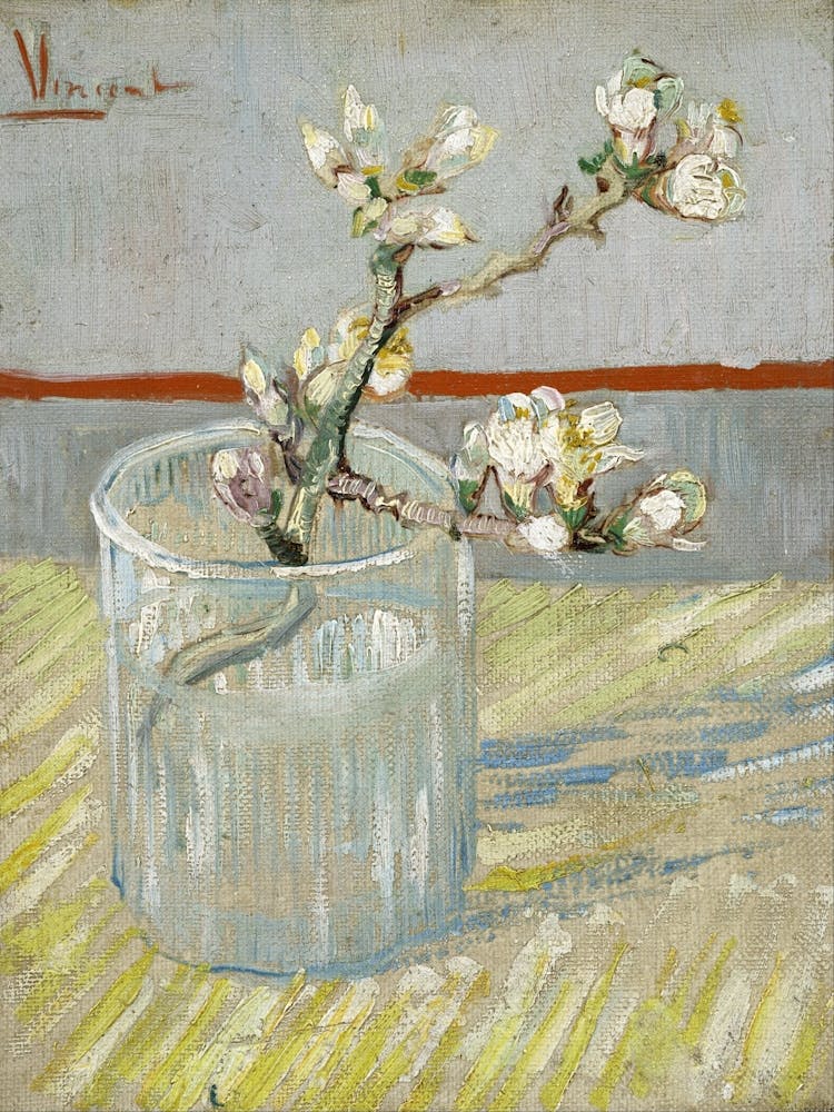 Almond Blossom In A Vase