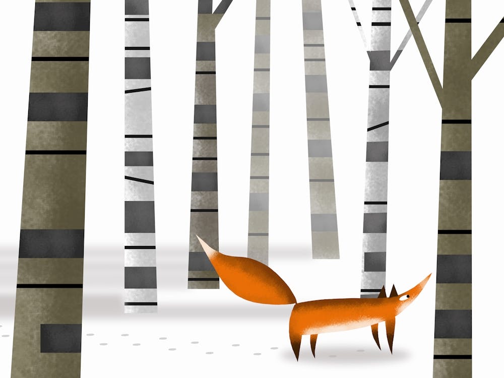 Winter Fox