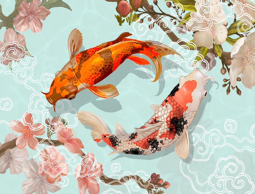 Koi Fish