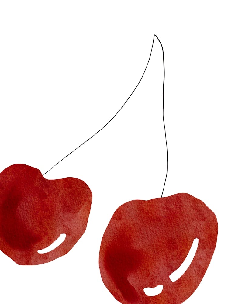 Cherry Illustration