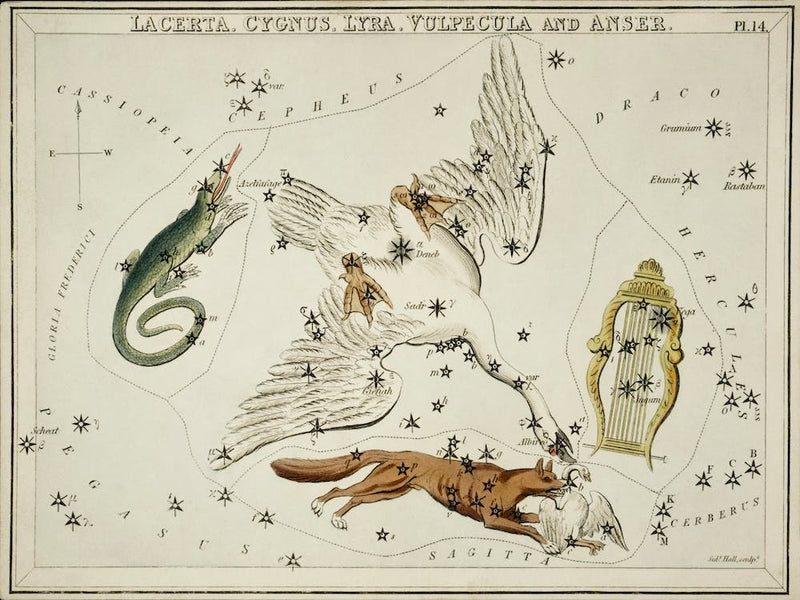 Sidney Hall’s (1831), Astronomical Chart Illustration Of The Lacerta, Cygnus, Lyra, Vulpecula And The Anser