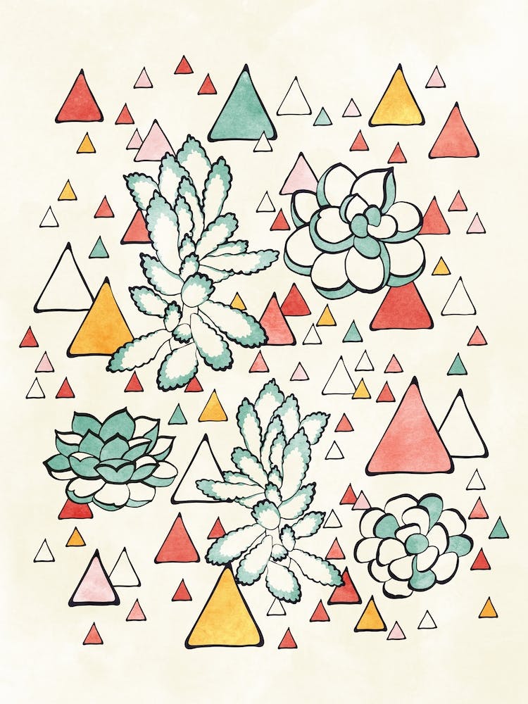 Succulent And Triangles