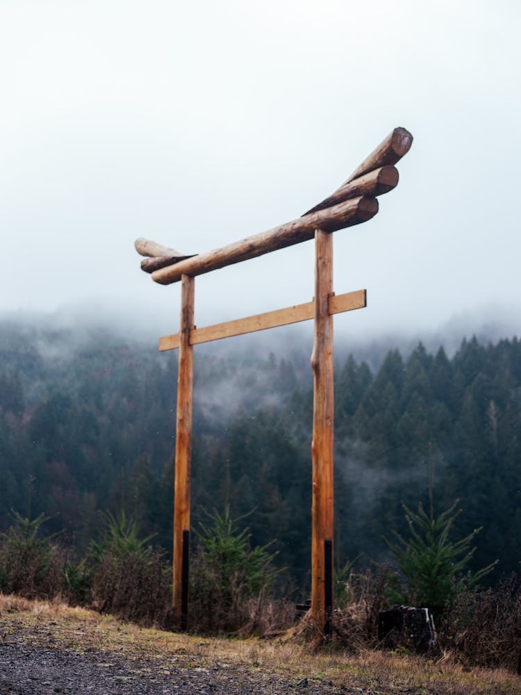 Forest Torii Gate
