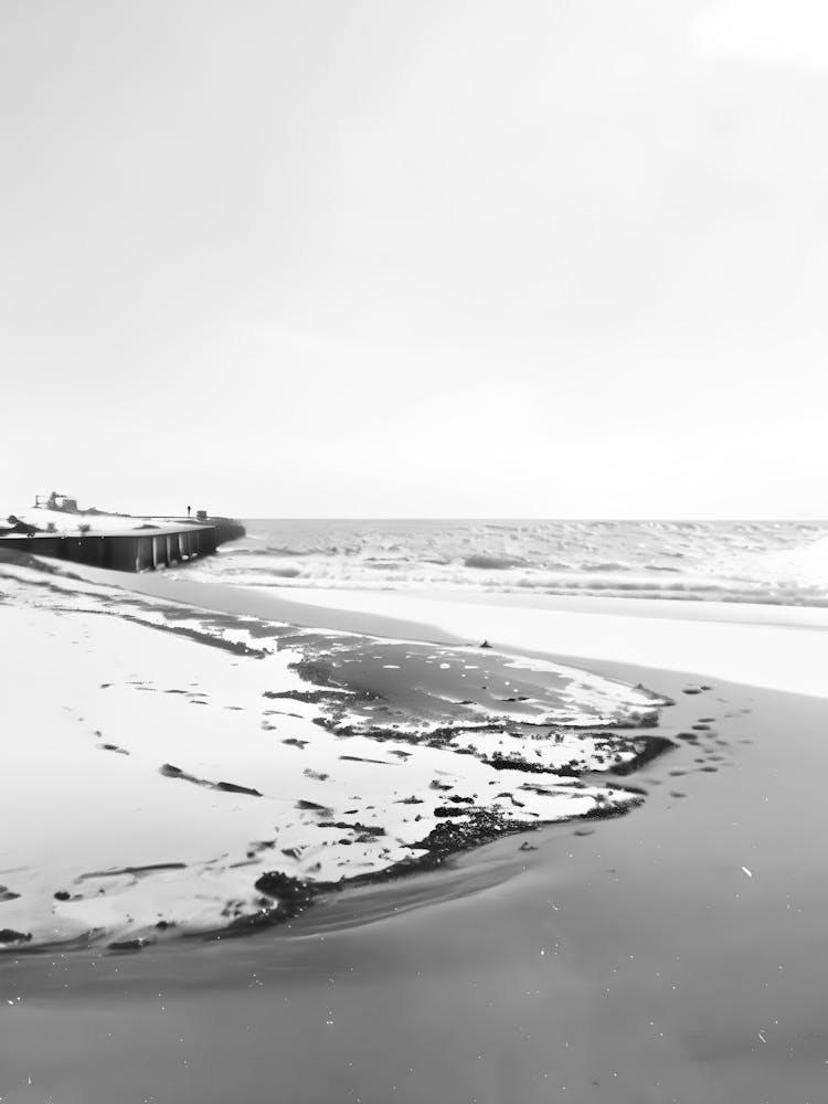 Black And White Photo 12