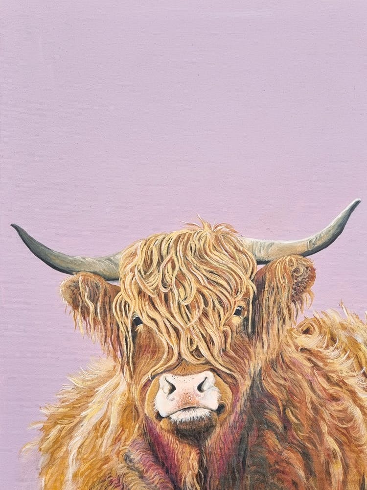 Hairy Coo Highland Cow SB