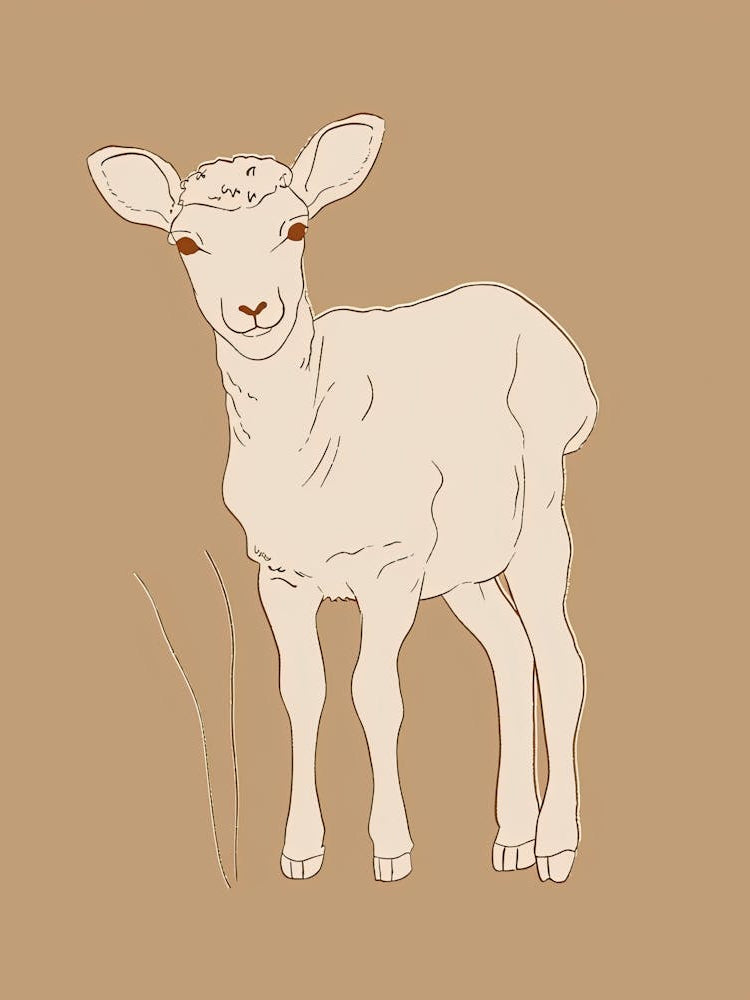 Baby Lamb - Boho, Line Art