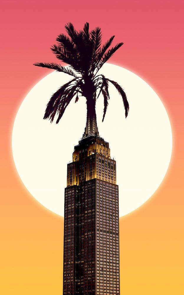 Urban Palms
