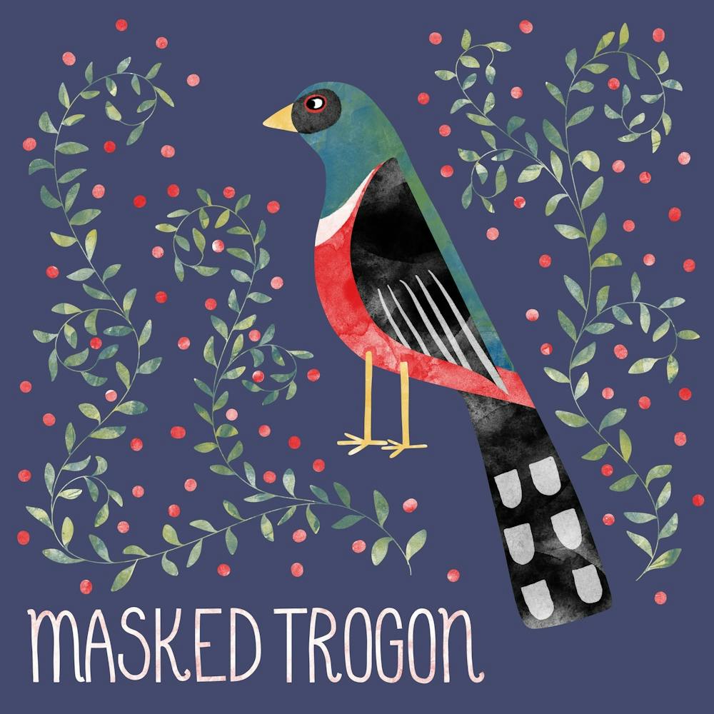 Masked Trogon Bird