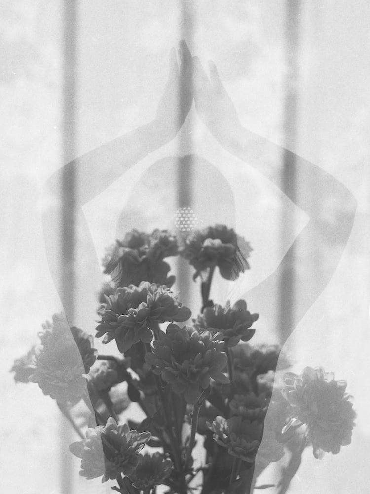 Let It Grow II