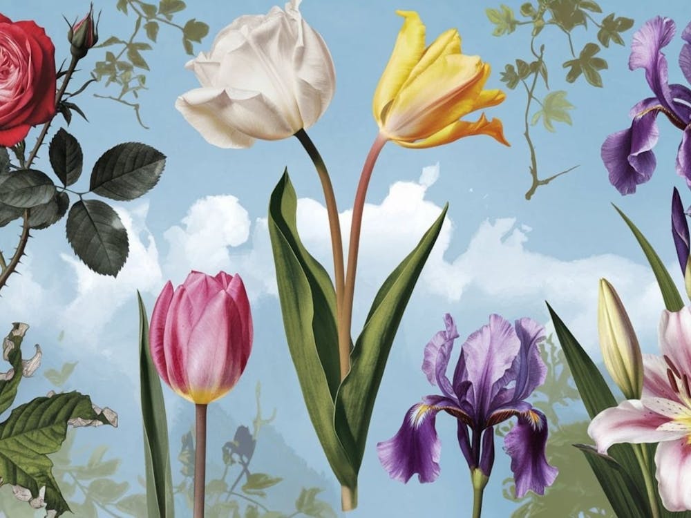 Tulips And Roses