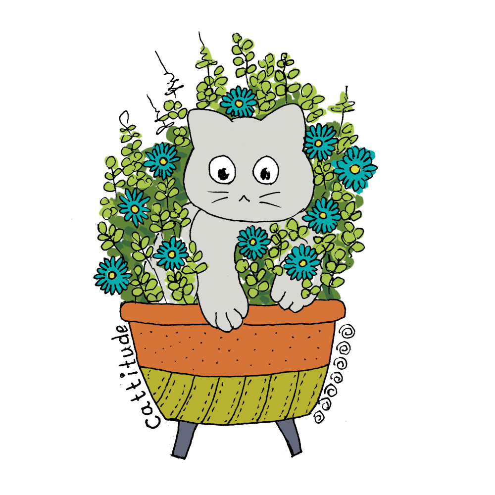 Cat In A Pot