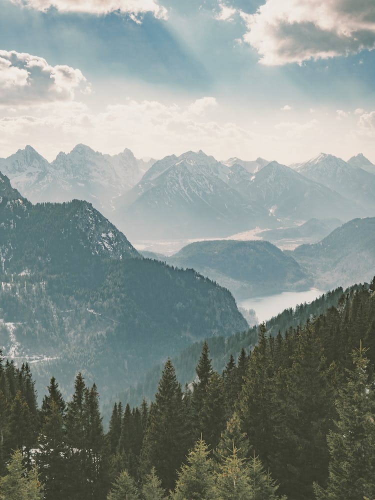 German Wilderness