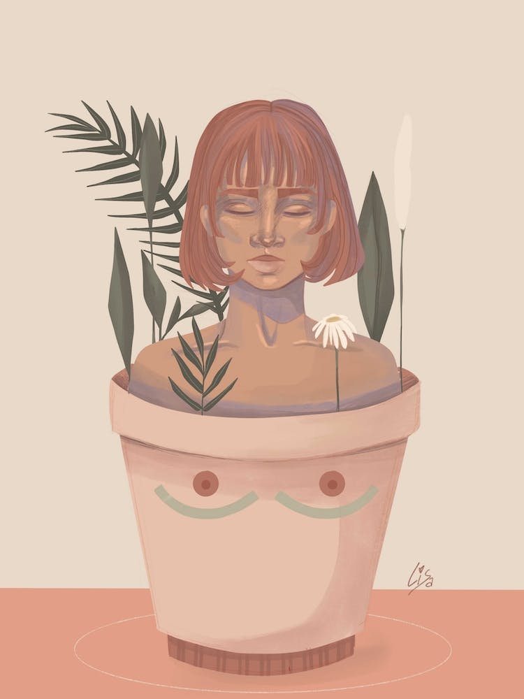 Take Your Time To Grow