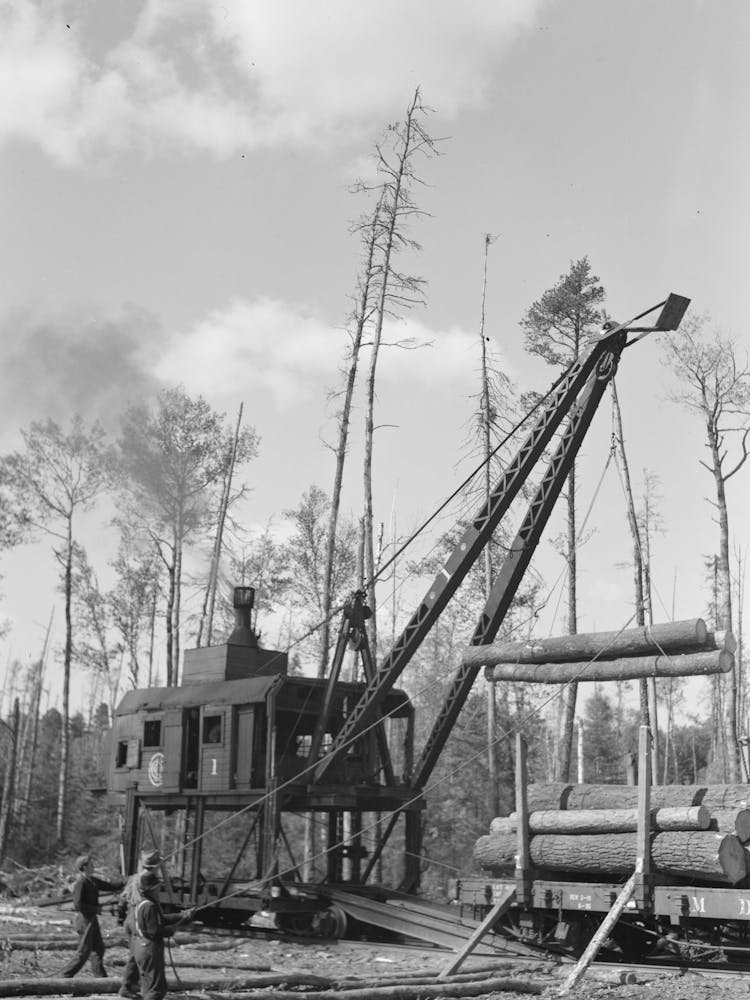 Loading Logs Onto Railroad Car Near Effie, Minnesota By Russell Lee