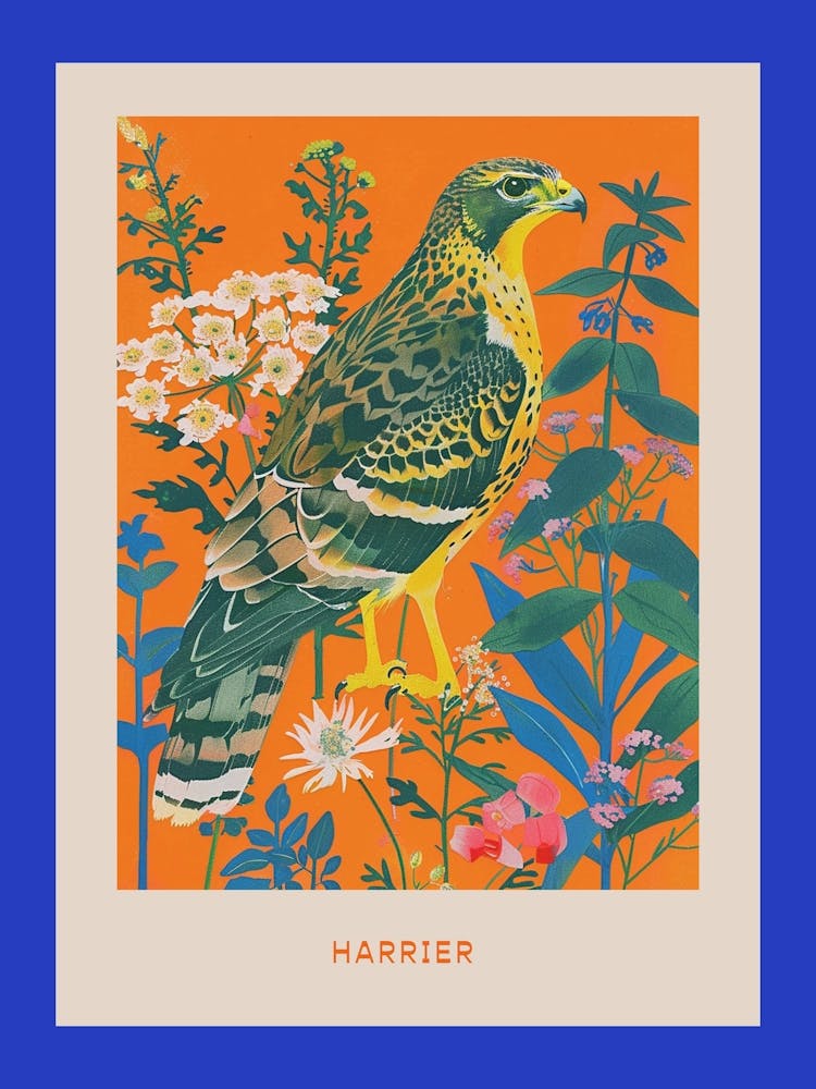Spring Birds Poster Harrier 1