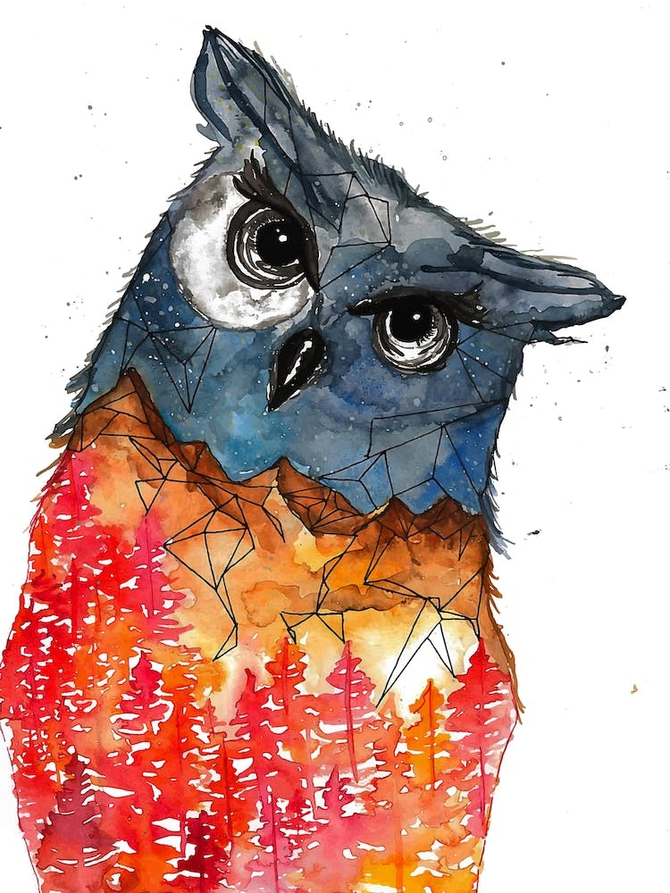 Owl I