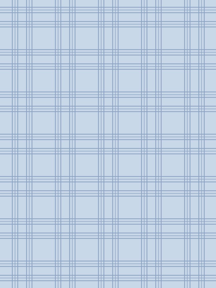 Light Blue Gingham