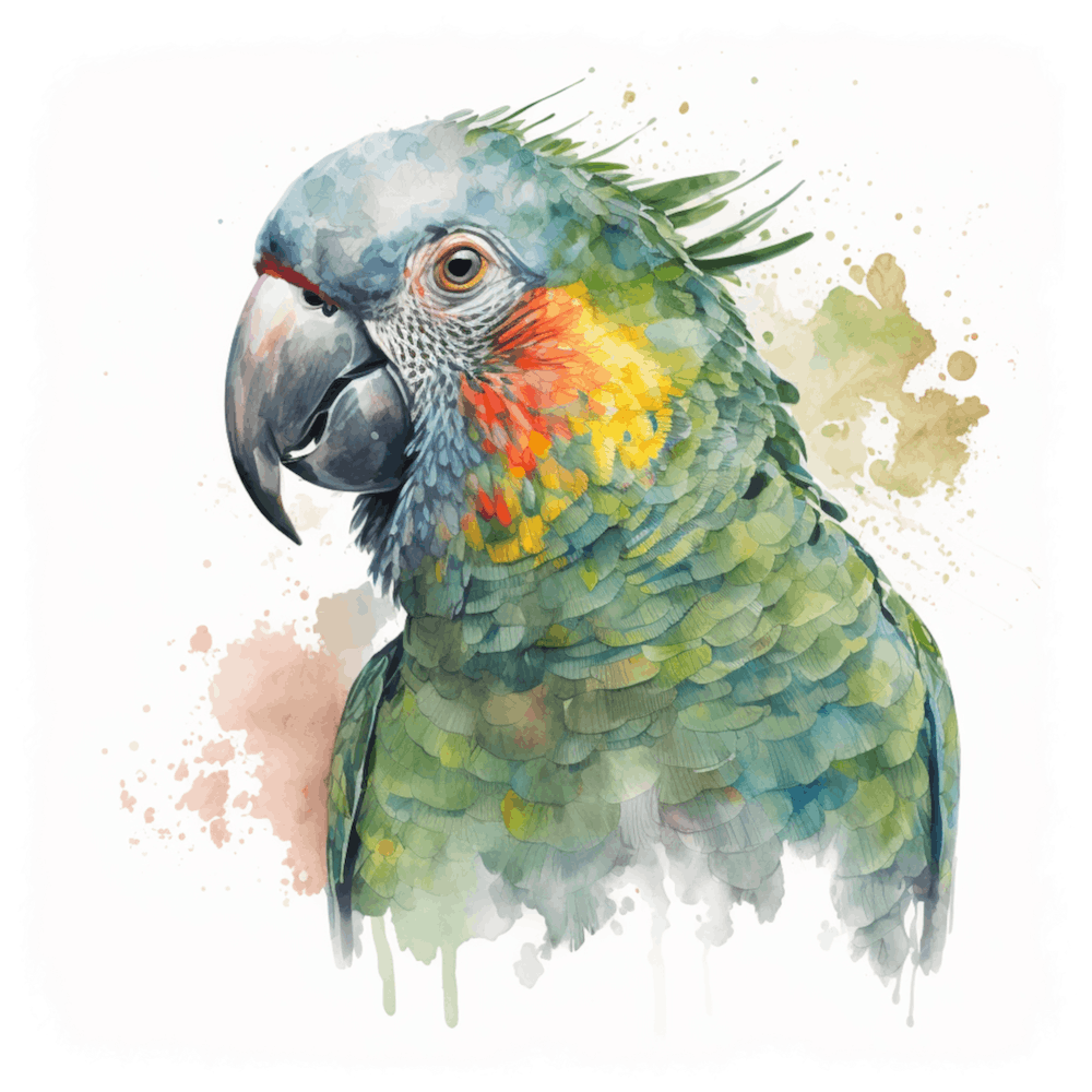 Green Parrot