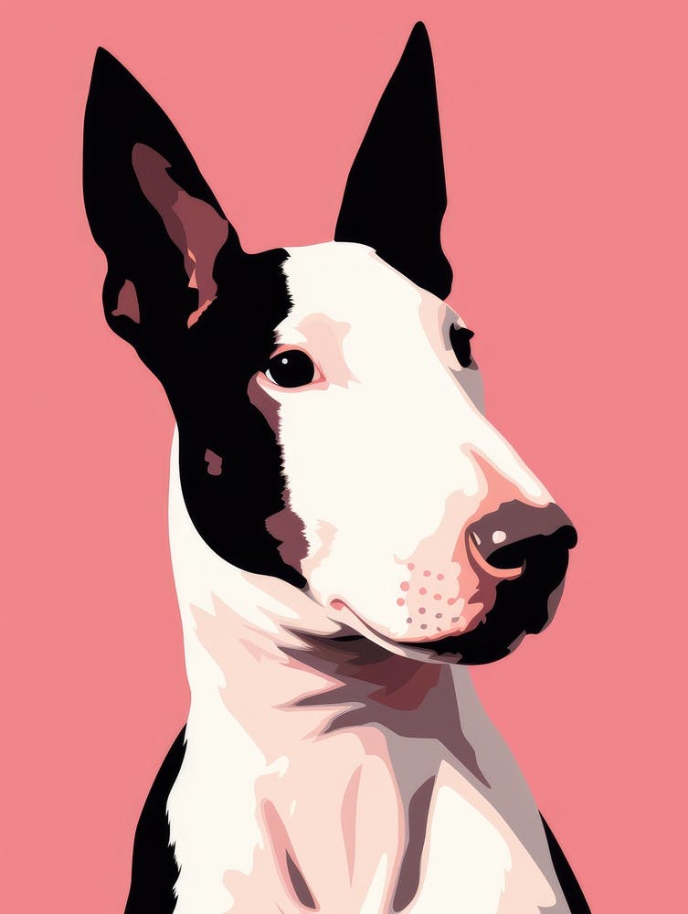 Bull Terrier 11