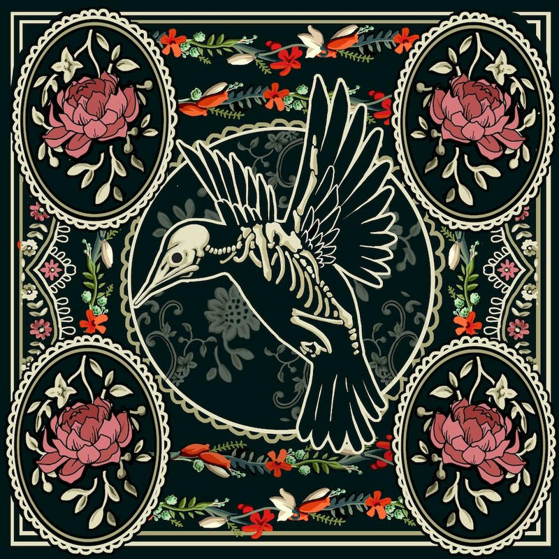 Anatomie d'Oiseau Carré