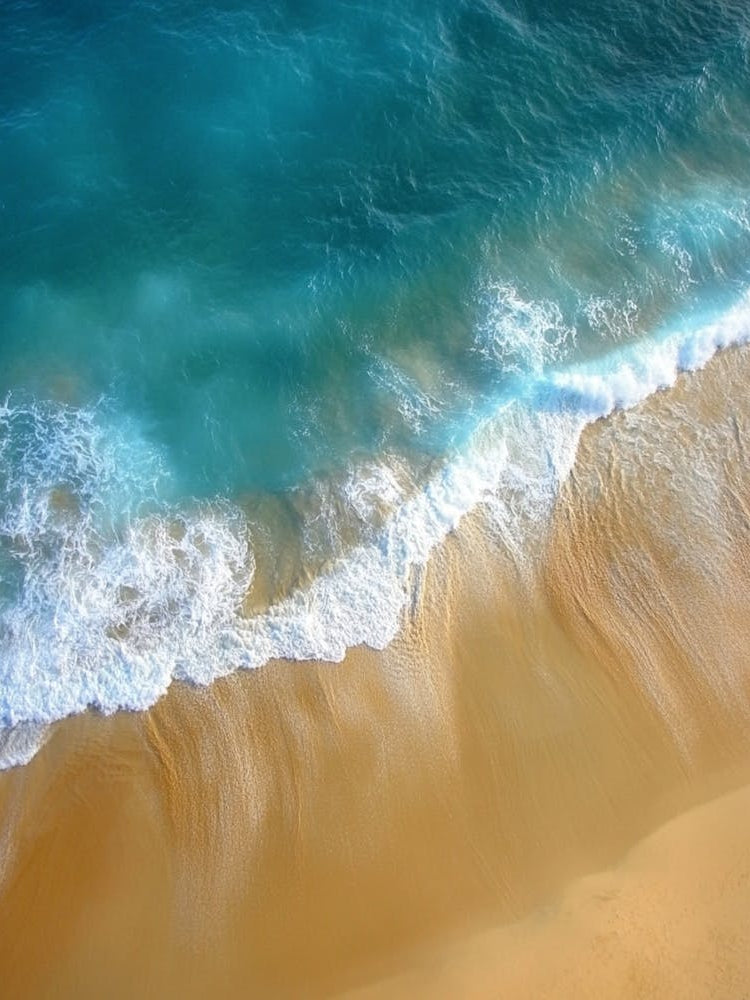 Aerial View Of A Beach 32