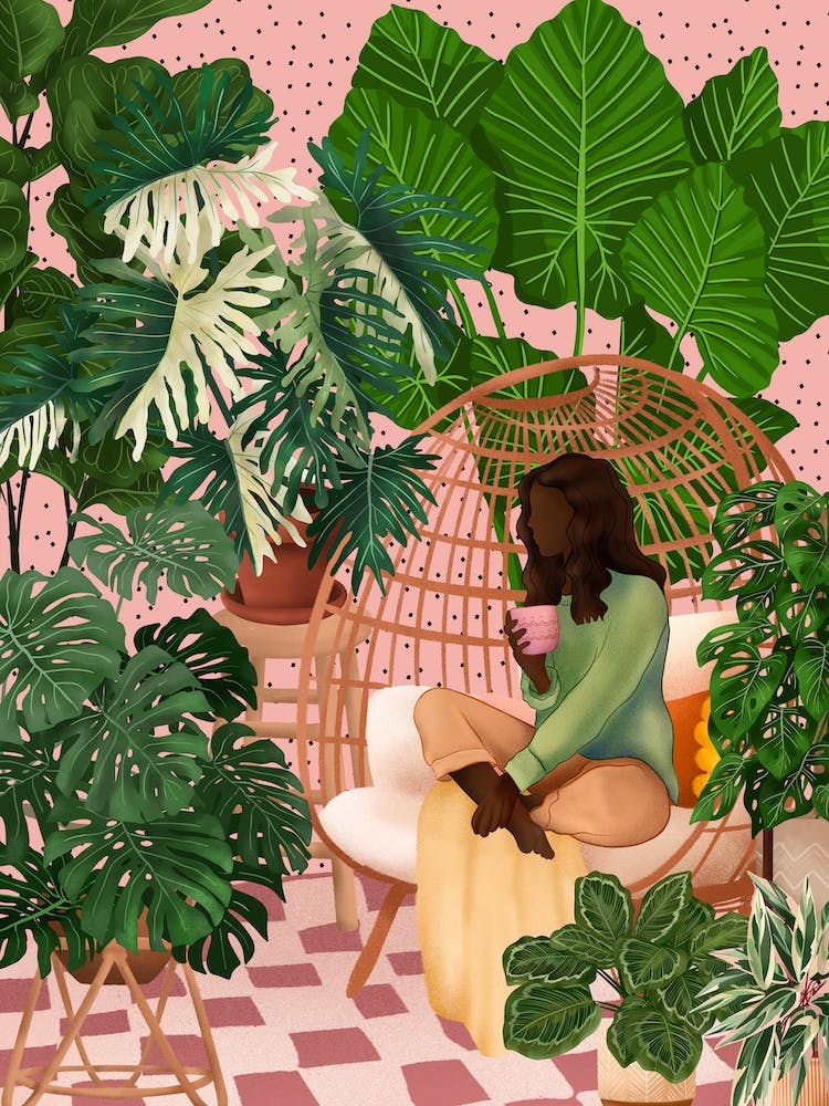 Plants And Coffee 1