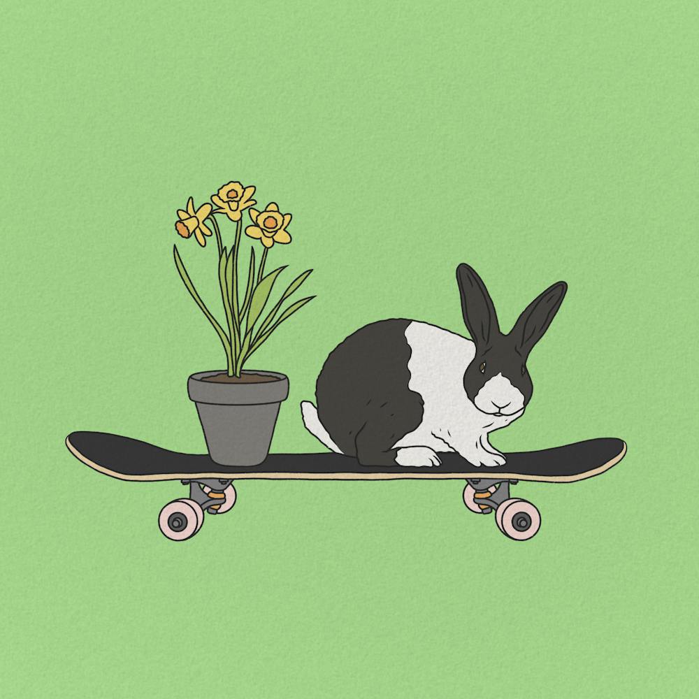 Bunny On Skateboard, daffodils, Easter, rabbit, illustration, wall art