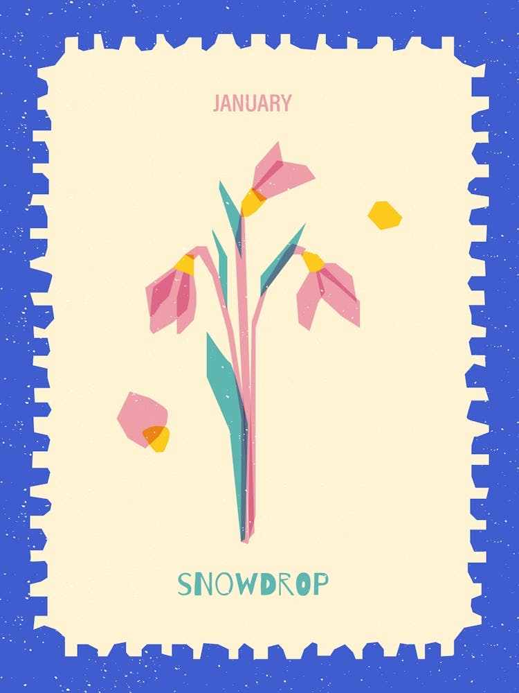 January Birthmonth Flower Snowdrop 1